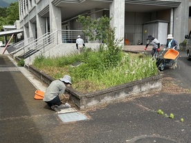 草刈り