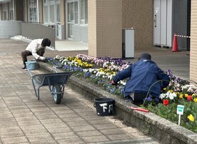 環境整備