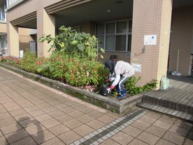 草刈り