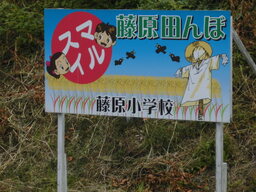 米づくり