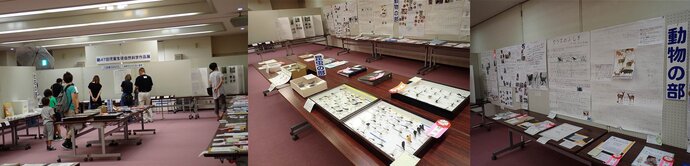 写真:児童生徒自然科学作品展会場のようす