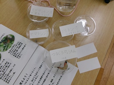 親子で楽しむ昆虫観察会